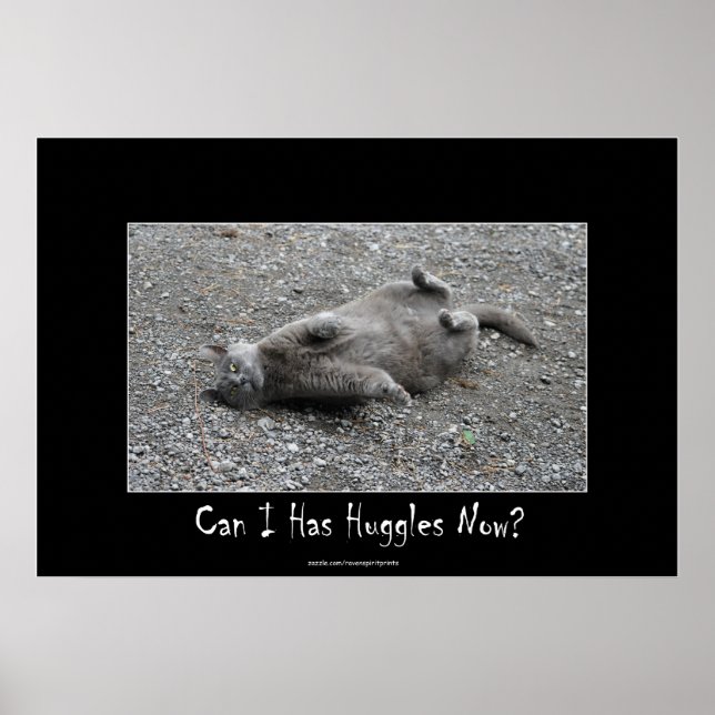 Cute Grey Cat Funny Huggles Poster (Front)