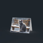 Cute Grey Cat on Bench Winter Snow Blank Greeting  Card<br><div class="desc">Sweet grey kitten enjoying the falling snow.  Blank inside for your personal message.  Perfect for birthday wishes,  holidays,  thank you cards,  etc.</div>