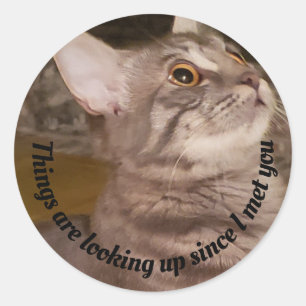 Cute Grey Cat Photo   Things Are Looking Up Quote Classic Round Sticker