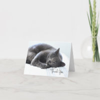 Cute Grey Cat Thank You Card