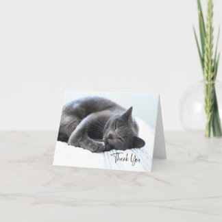 Cute Grey Cat Thank You Card