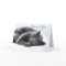 Cute Grey Cat Thinking of You Card