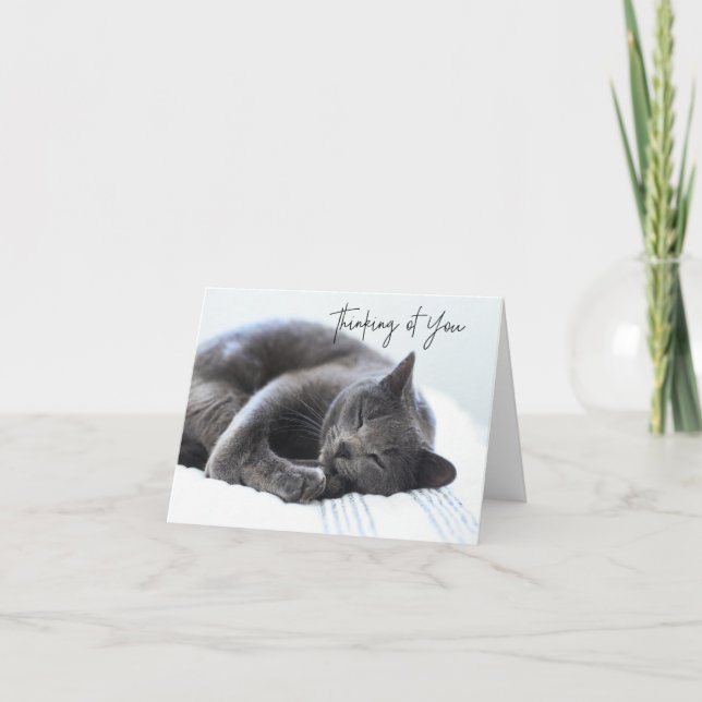 Cute Grey Cat Thinking of You Card (Front)