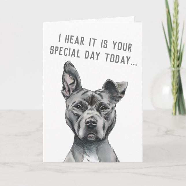 Cute Grey Dog Funny Happy Birthday Card (Front)