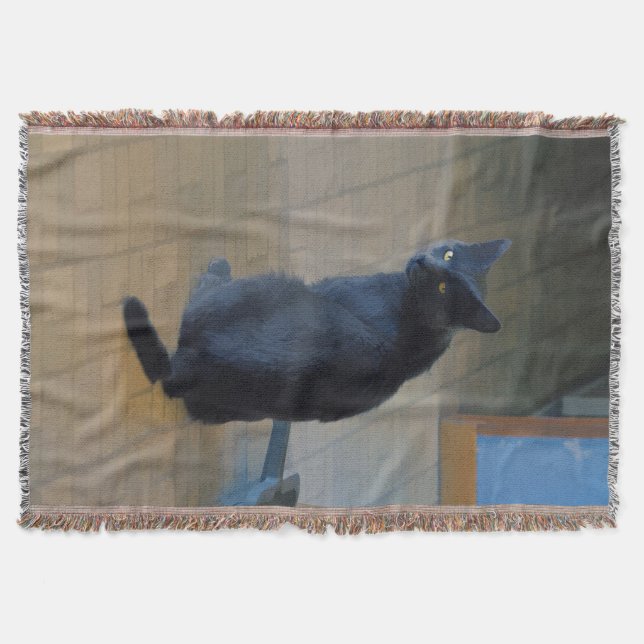 Cute Grey Farm Cat in Ranch Kitchen Throw Blanket (Front)