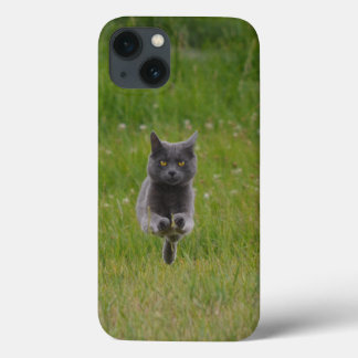 Cute Grey Farm Cat Racing Across Green Grass Photo iPhone 13 Case