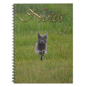 Cute Grey Farm Cat Racing Across Green Grass Photo Notebook