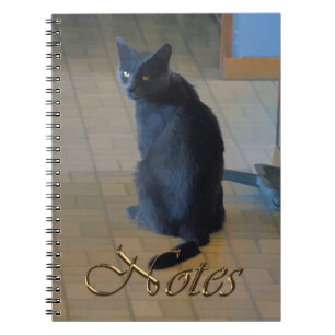 Cute Grey Farm Sitting in Ranch Kitchen Notebook