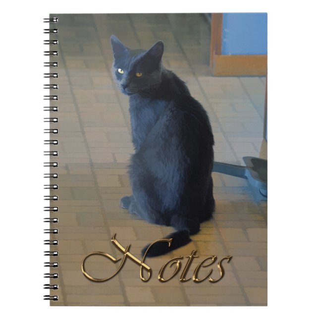 Cute Grey Farm Sitting in Ranch Kitchen Notebook (Front)