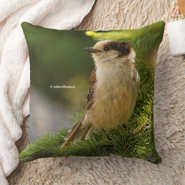 Cute Grey Jay Whiskeyjack Songbird in Conifer Tree Cushion (Blanket)