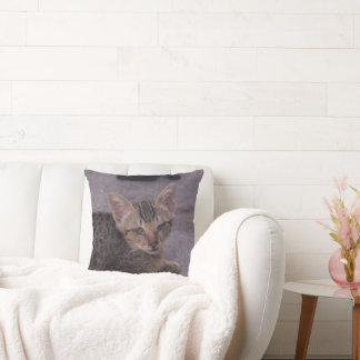 Cute Grey Kitten Cushion