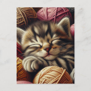 Cute Grey Kitten Napping in Balls of Yarn Postcard