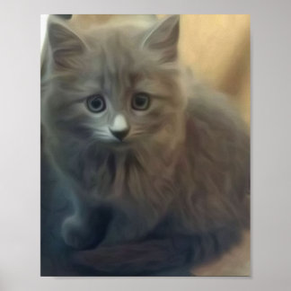 Cute Grey Kitten Poster