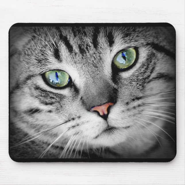 Cute Grey Kitty Cat Face Mouse Pad (Front)
