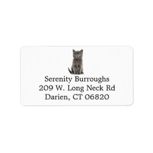 Cute Grey Kitty Cat Lover Grey Kitten Label