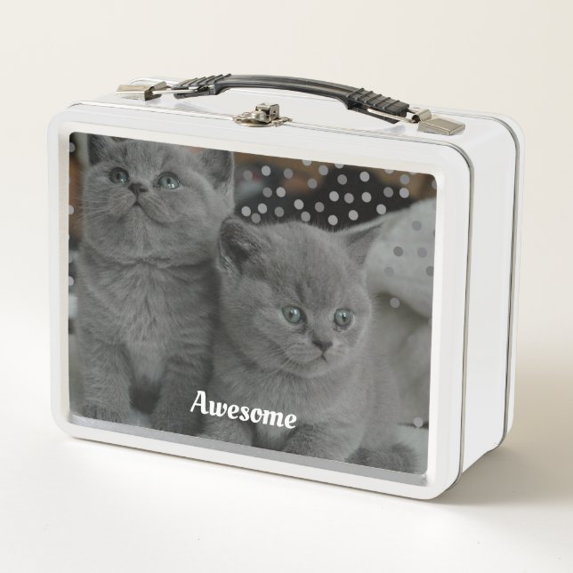 Cute Grey Kitty Cats Metal Lunch Box (Front)