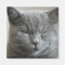 Cute Grey Kitty Face Photo Magnet