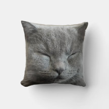 Cute Grey Kitty face Photo Throw Pillow