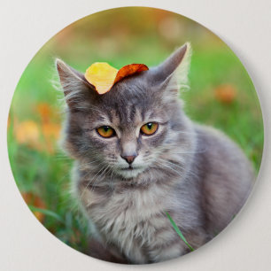 Cute Grey Kitty with Leaf on Head 6 Cm Round Badge