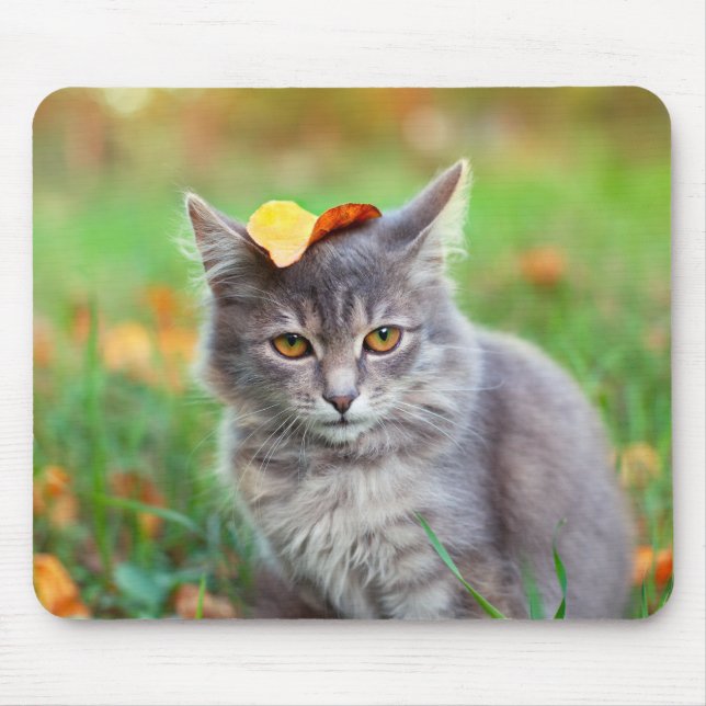 Cute Grey Kitty with Leaf on Head Mouse Mat (Front)