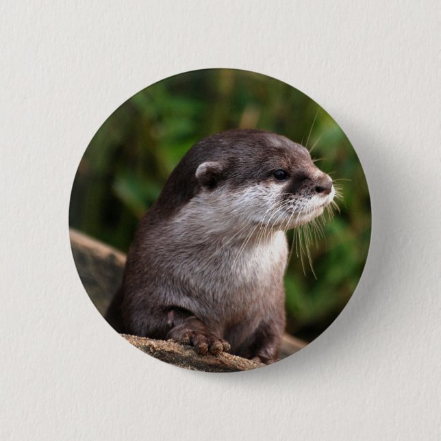 Cute grey otter 6 cm round badge (Front)
