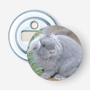 Cute grey rabbit    bottle opener