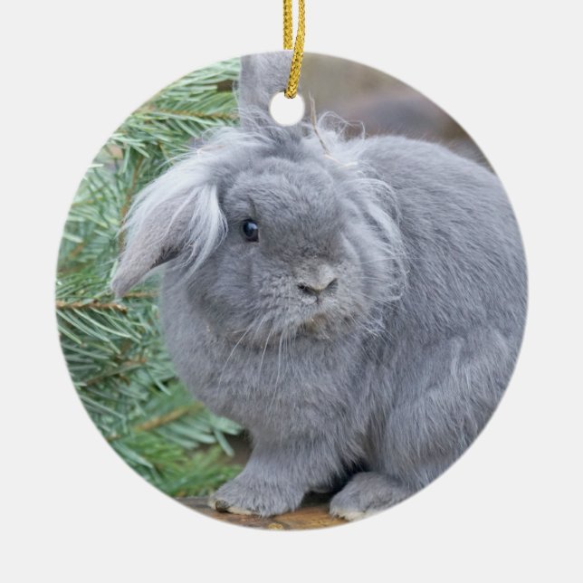 Cute grey rabbit   ceramic tree decoration (Front)