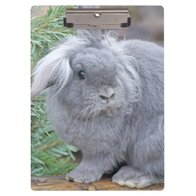 Cute grey rabbit  clipboard (Front)