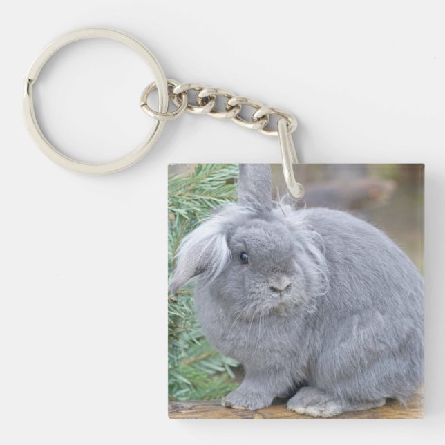Cute grey rabbit    key ring (Front)