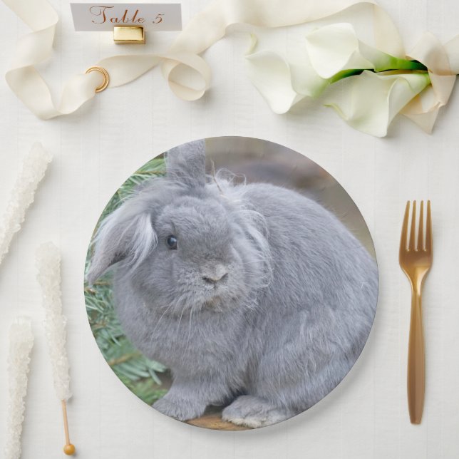 Cute grey rabbit   paper plate (Wedding)
