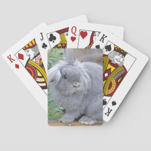 Cute grey rabbit  playing cards