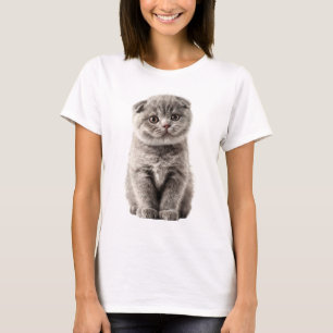 Cute Grey Scottish Fold Kitten Portrait Women T-Shirt