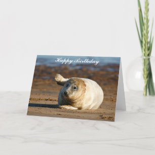 Cute Grey Seal Pup - Happy Birthday Greeting Card