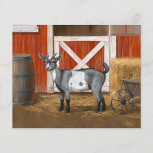 Cute Grey Spotted Goat