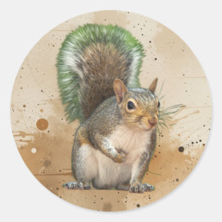 Cute Grey Squirrel Animal Wildlife Nature Classic Round Sticker