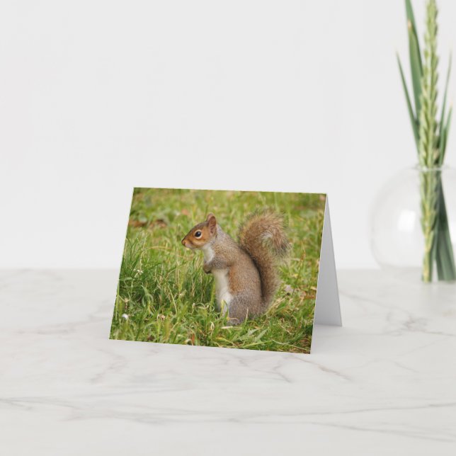 Cute Grey Squirrel Blank Notecards (Front)