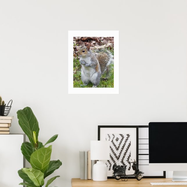 Cute Grey Squirrel Photographic Poster (Home Office)