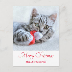 Cute Grey Tabby Cat Christmas Hat Xmas Postcard