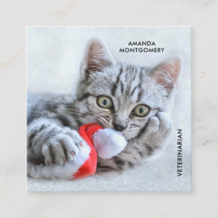 Cute Grey Tabby Cat Christmas Hat Xmas Square Business Card