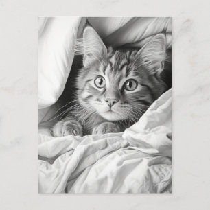 Cute Grey Tabby Cat Postcard