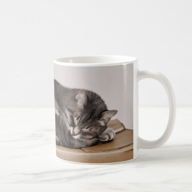 Cute Grey Tabby Cat Sleeping On Box  Coffee Mug (Right)