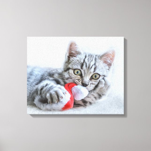 Cute Grey Tabby Cat w/ Christmas Hat Xmas Canvas Print (Front)