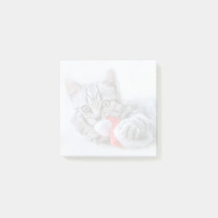 Cute Grey Tabby Cat w/ Christmas Hat Xmas Post-it Notes