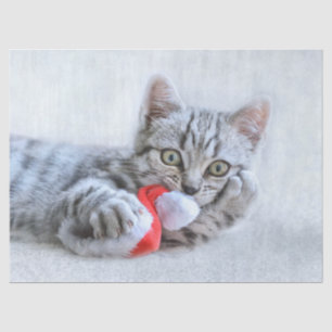 Cute Grey Tabby Cat w/ Christmas Hat Xmas Tissue Paper