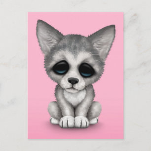 Cute Grey Wolf Cub Puppy on Pink Postcard