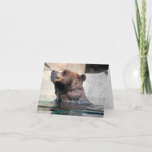 Cute Grizzly Bear in Water Thank You Card