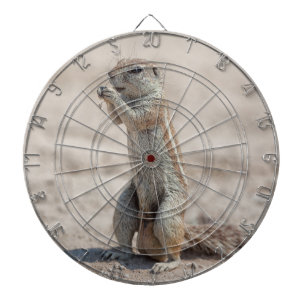 Cute ground sqirrel dartboard