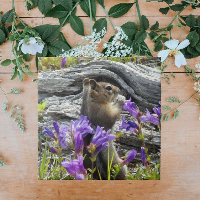 Cute Ground Squirrel and Purple Wildflowers Tile (In Situ)