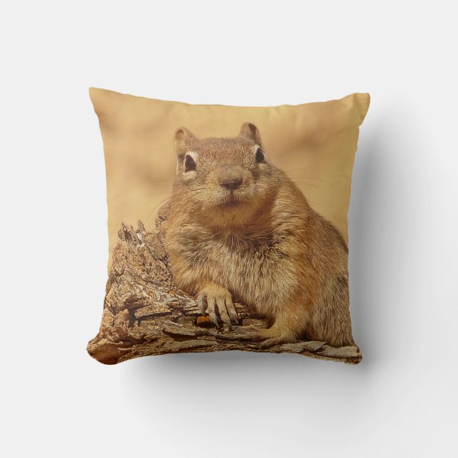Cute Ground Squirrel Cushion (Front)