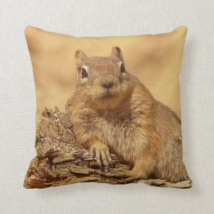 Cute Ground Squirrel Cushion